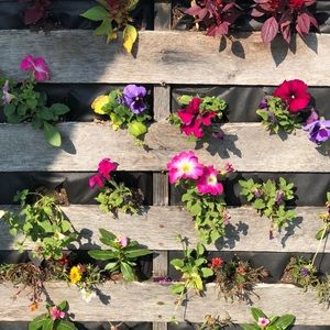 Meet your Posher, Gately